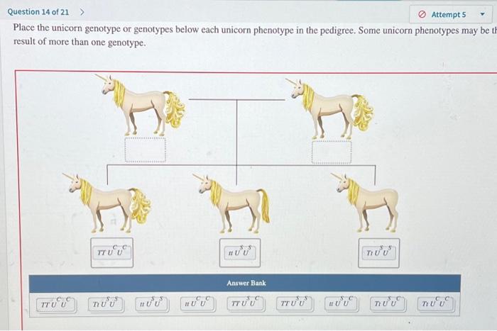 Solved Question 14 of 21 Attempt 5 Place the unicorn | Chegg.com