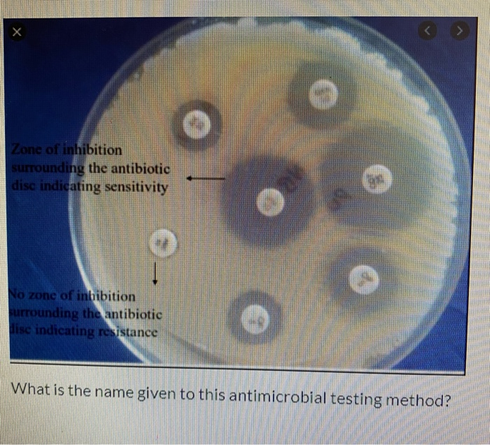 Solved Zone of inhibition surrounding the antibiotic disc | Chegg.com
