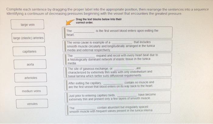 solved-complete-each-sentence-by-dragging-the-proper-label-chegg