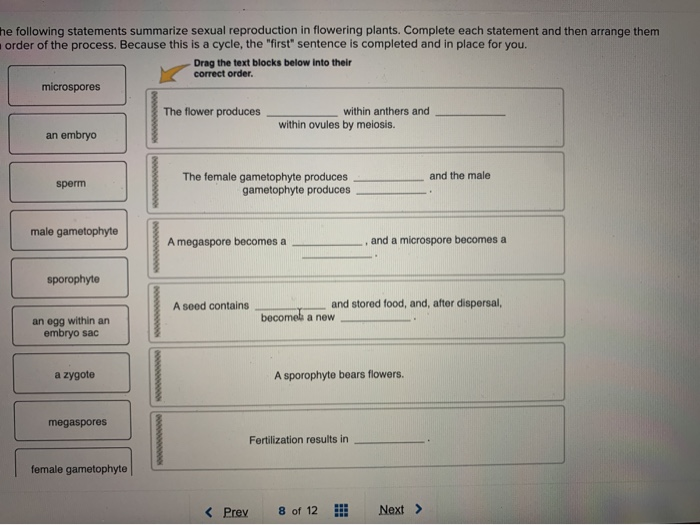 Solved The following statements summarize asexual