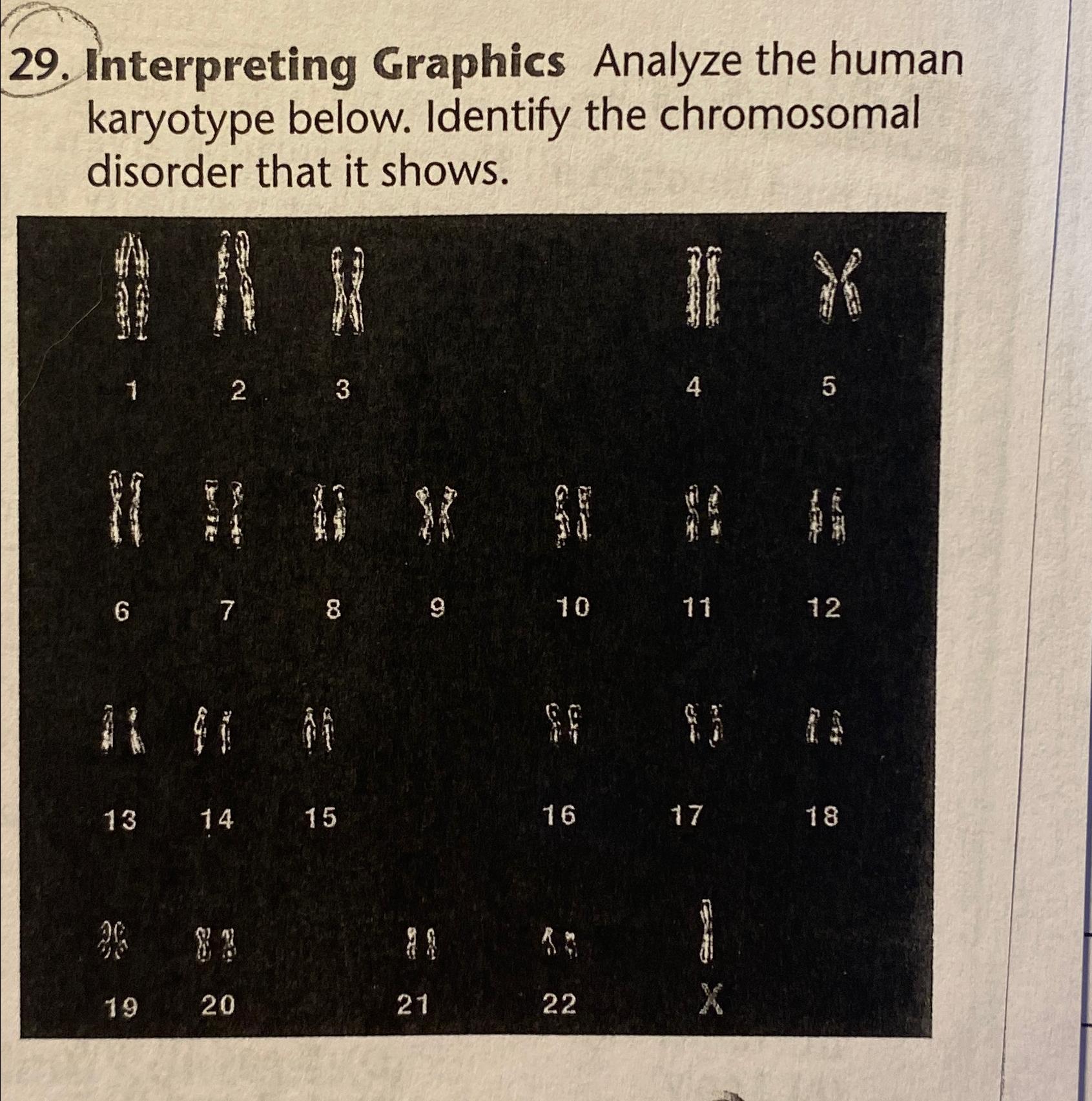 Solved Interpreting Graphics Analyze The Human Karyotype 