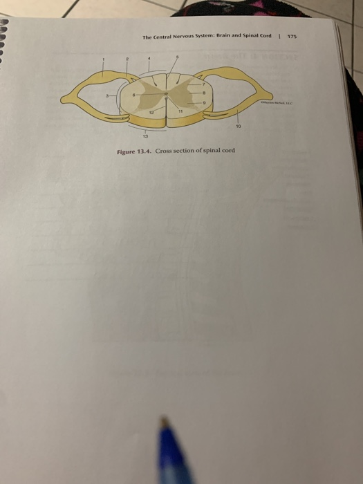 31 SEGMENTS visual data 5