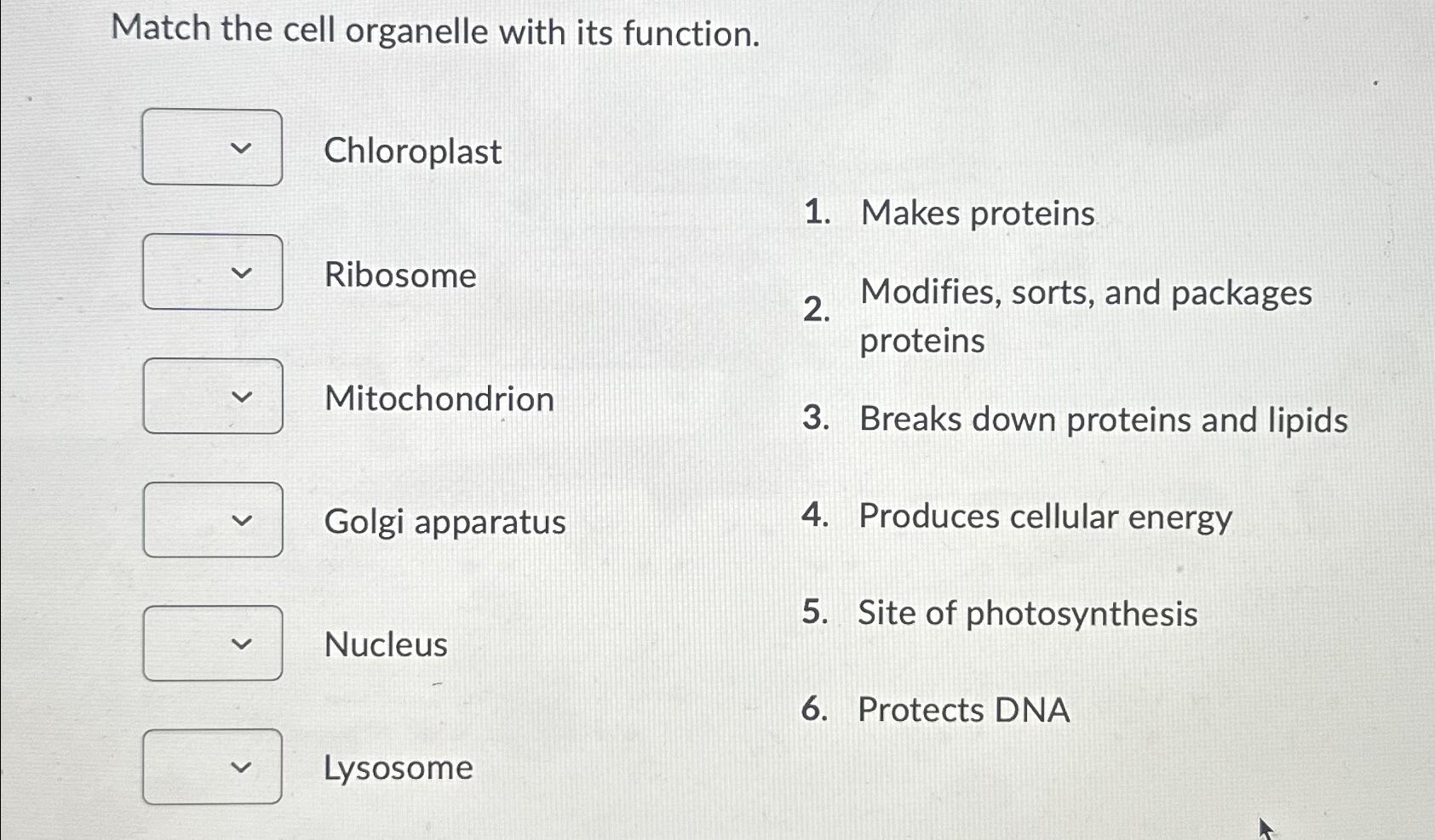 Solved Match the cell organelle with its | Chegg.com
