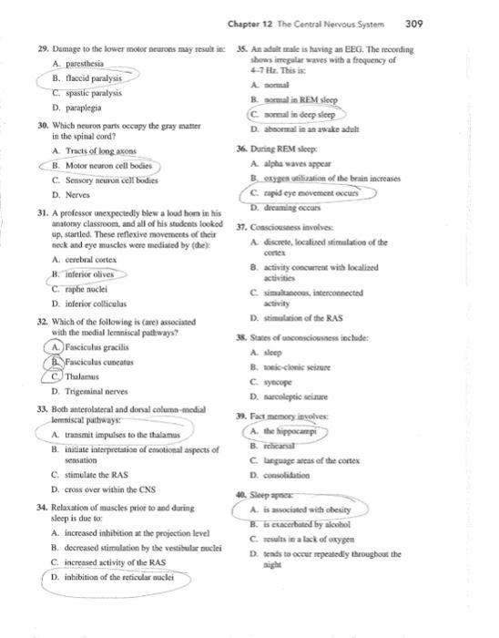 Solved Chapter 12 The Central Nervous System 309 29. Damage | Chegg.com
