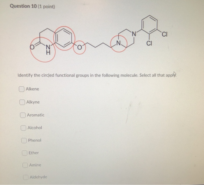 Solved ОНОН Identify the circled functional groups in the | Chegg.com