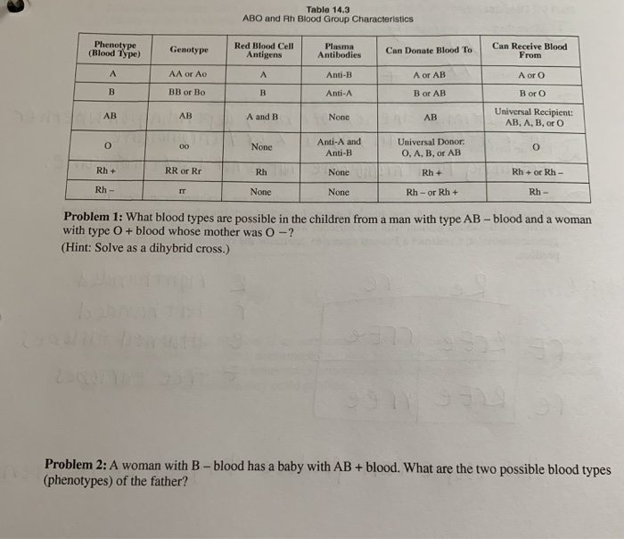 Table 14 3 Abo And Rh Blood Group Characteristics Chegg Com