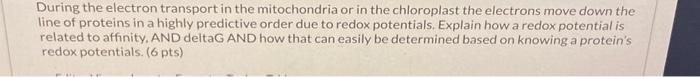 Solved During the electron transport in the mitochondria or | Chegg.com