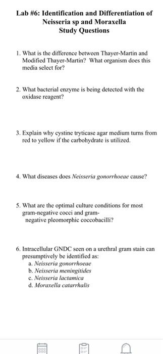 Lab #6: Identification and Differentiation of Neisseria sp and Moraxella Study Questions 1. What is the difference between Th