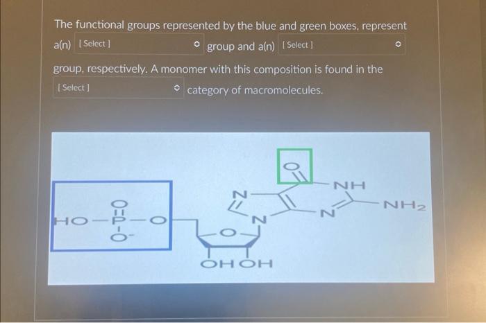 Solved The functional groups represented by the blue and | Chegg.com