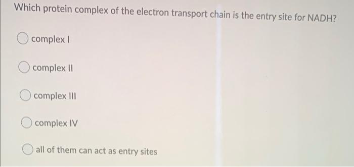 Solved Which protein complex of the electron transport chain | Chegg.com