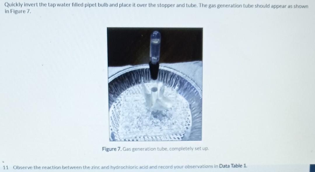 Solved Procedure Part 1 1 Fill a cup with tap water. 2 Put