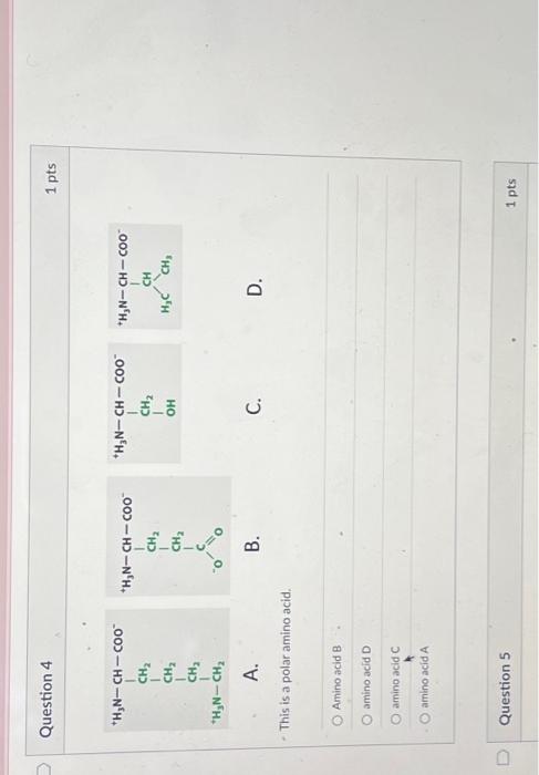 Solved Amino acid B amino acid D amino acid C amino acid A | Chegg.com