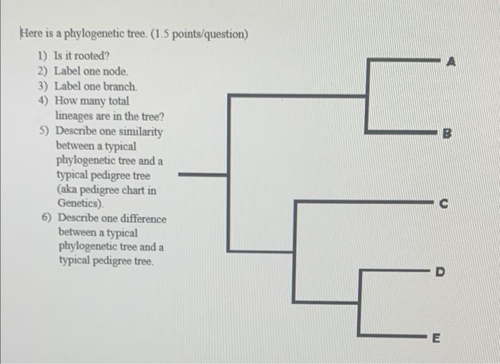 Solved Here Is A Phylogenetic Tree. ( 1.5 1) Is It Rooted? | Chegg.com