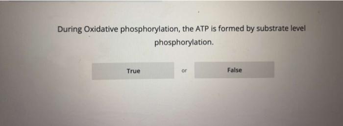 During Oxidative phosphorylation, the ATP is formed by substrate level phosphorylation.