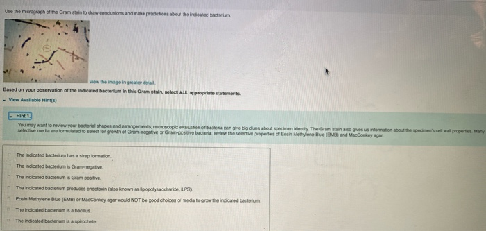 Solved Use The Micrograph Of The Gram Stain To Draw