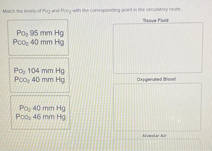 Match the levels of Po2 and Pco2 with the corresponding point in the circulatory route.
Tissue Fluid
P0? 95 mm Hg
Pco? 40 mm 