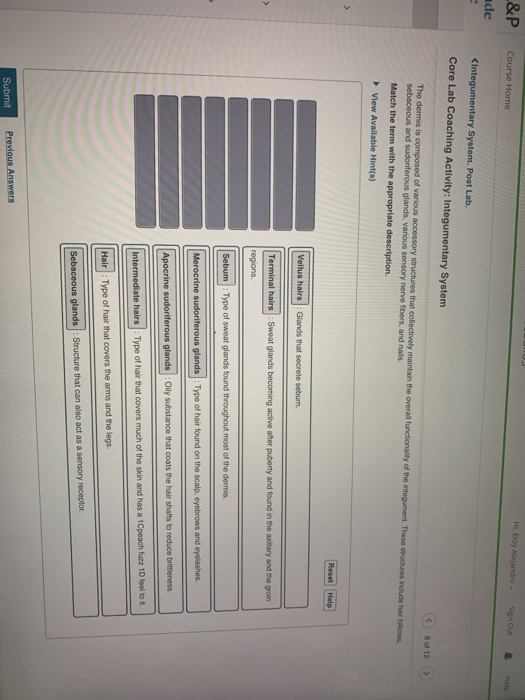 Solved Hi Eloy Alejandro Sign Out P Course Home Help Ad
