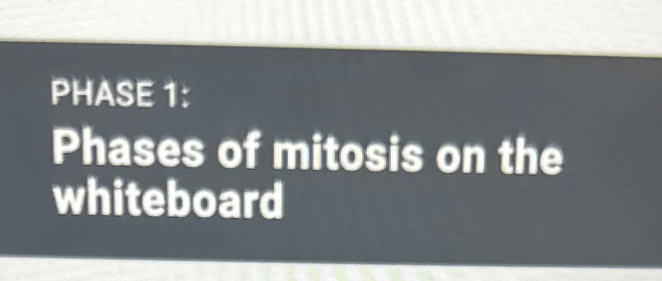 Solved PHASE 1:Phases of mitosis on the whiteboard | Chegg.com