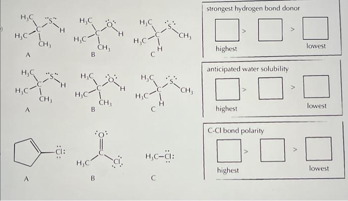 solved-a-strongest-hydrogen-bond-donor-highest-lowest-a-b-chegg