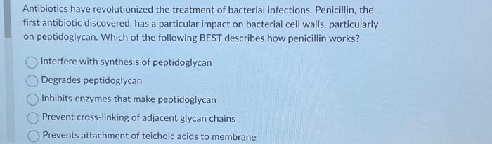 Solved In gram-negative bacterial cell wall, what type of | Chegg.com