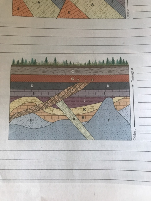 Solved Oldest - Oldest Youngest 3. In geologic cross | Chegg.com