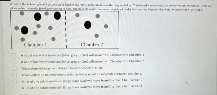 Solved Which of the following would you expect to happen | Chegg.com