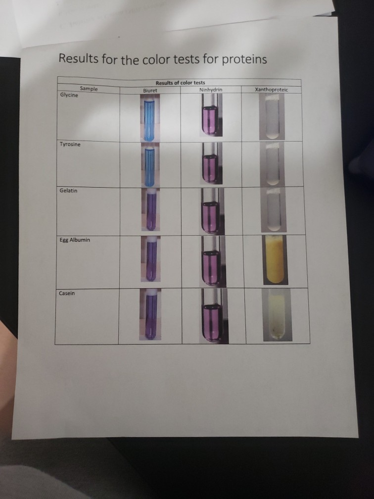 Solved Peptides and Prote D. Color Tests for Proteins