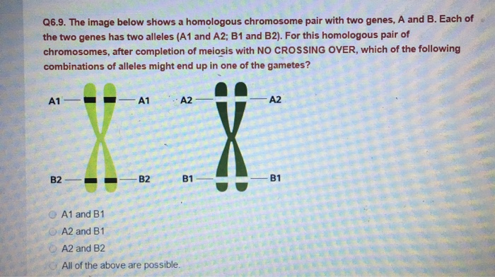 Solved: Q6.9. The Image Below Shows A Homologous Chromosom... | Chegg.com