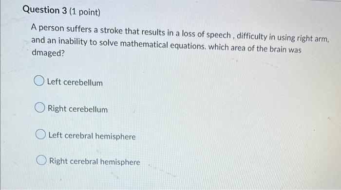 Solved What is the primary function of Myelin sheath? to | Chegg.com