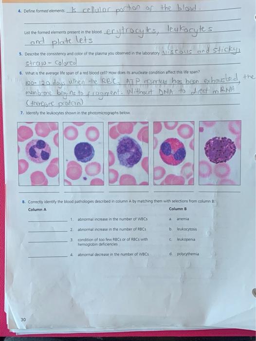 solved-list-the-formed-elements-present-in-the-blood-and-4-chegg
