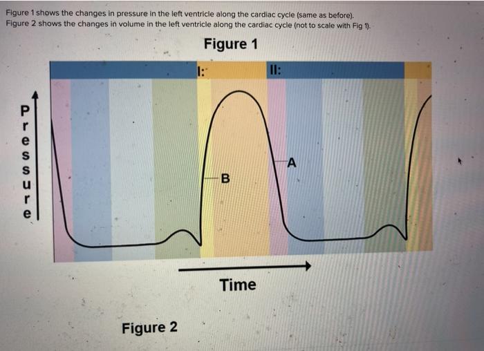 Solved Figure 1 shows the changes in pressure in the left | Chegg.com