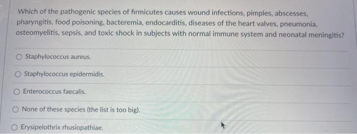 Which of the pathogenic species of firmicutes causes wound infections, pimples, abscesses, pharyngitis, food poisoning, bacte