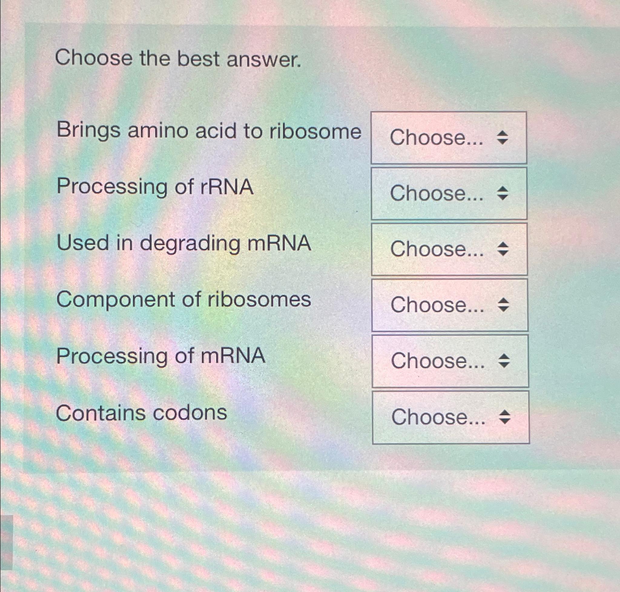 Solved Choose the best answer.Brings amino acid to | Chegg.com