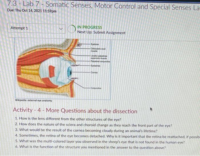 Solved 7.3 - Lab 7 - Somatic Senses, Motor Control and | Chegg.com