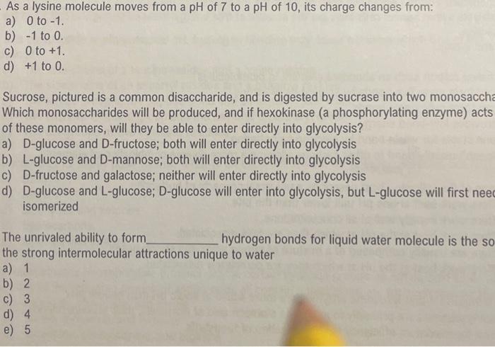 Solved As a lysine molecule moves from a pH of 7 to a pH of | Chegg.com