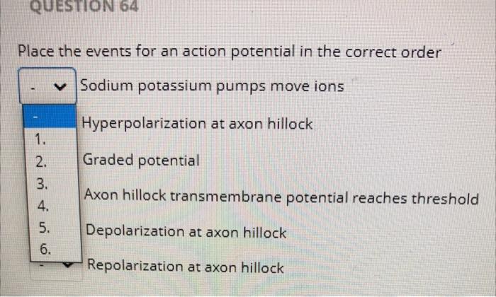 Place the events for an action potential in the correct order
Sodium potassium pumps move ions
Hyperpolarization at axon hill