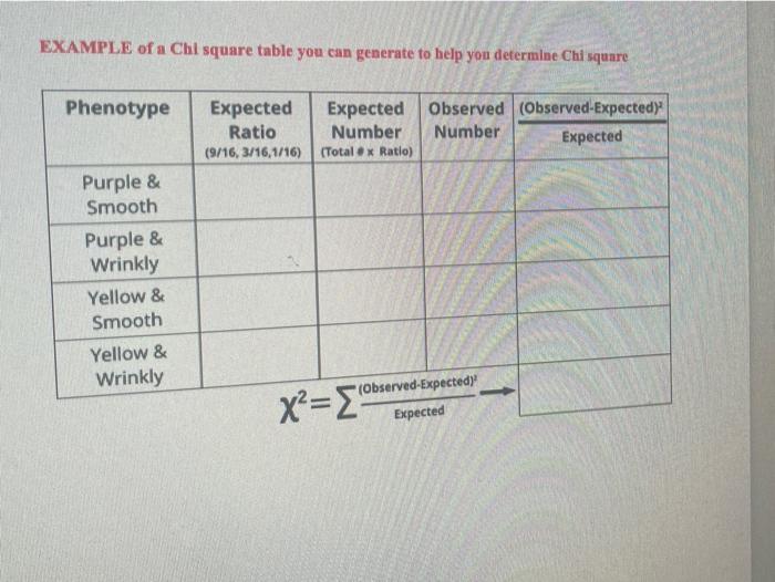 Solved D EXAMPLE of a Chi square table you can generate to | Chegg.com