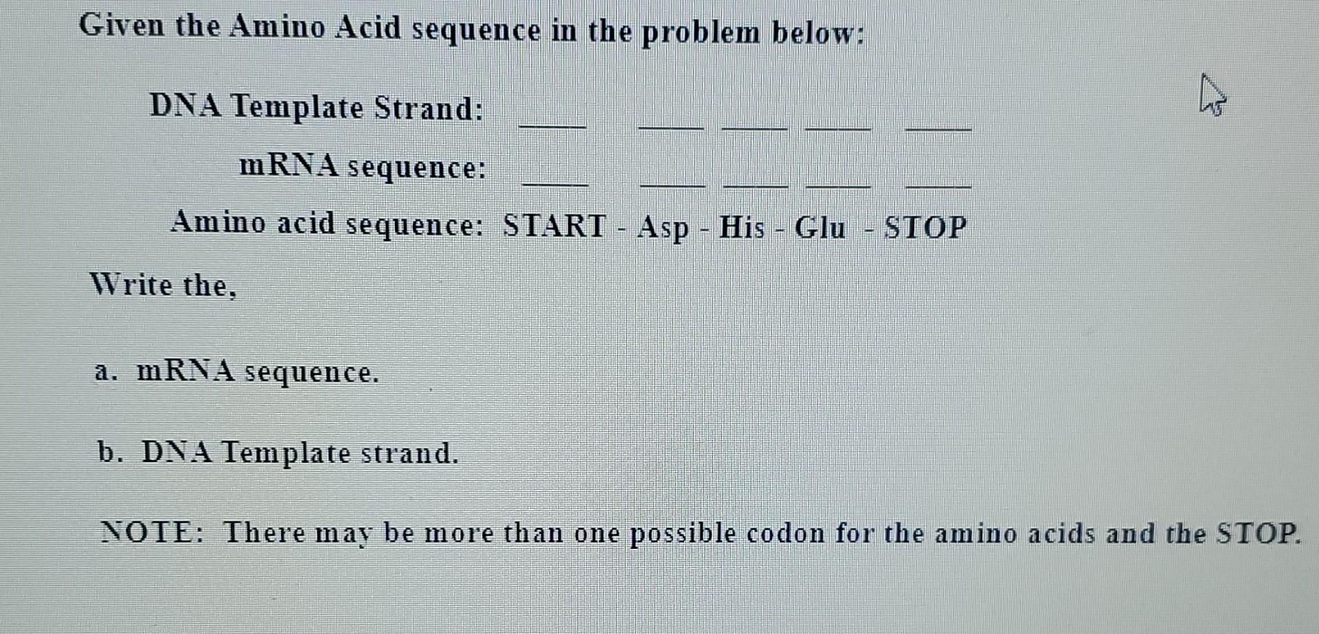 Solved Given the Amino Acid sequence in the problem below: | Chegg.com