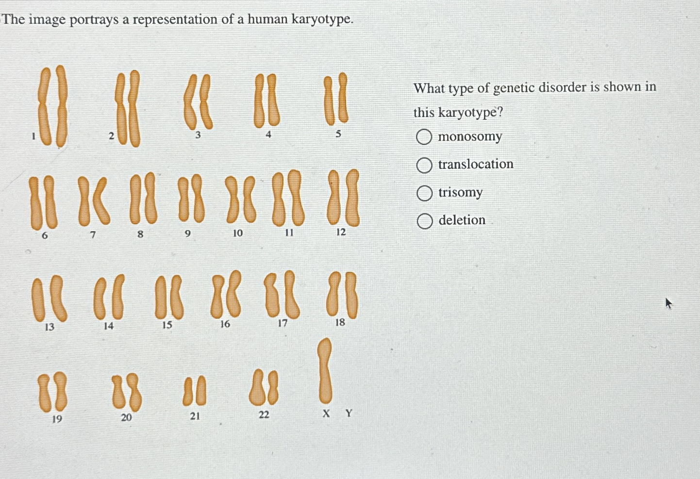 Solved The image portrays a representation of a human | Chegg.com