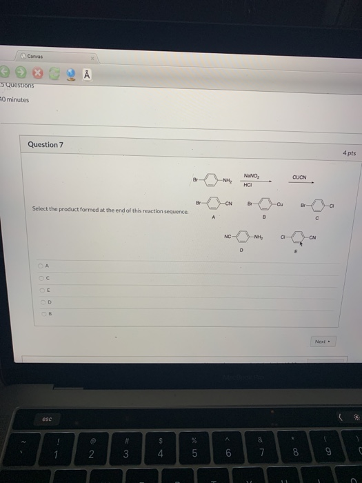 Solved 5 Questions 10 minutes Question 7 4 pts Select the | Chegg.com