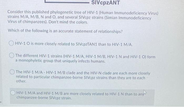 Consider this published phylogenetic tree of HIV-1 (Human Immunodeficiency Virus) trains M/A, M/B, N and O, and several SIVcp