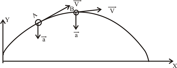 Solved: A projectile moves in a parabolic path without air resi ...