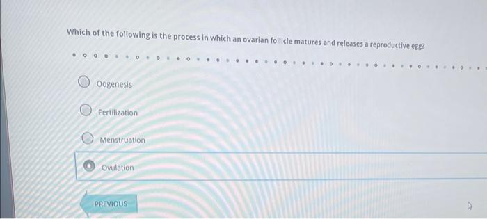 Solved To separate genomic DNA fragments by size, which of | Chegg.com