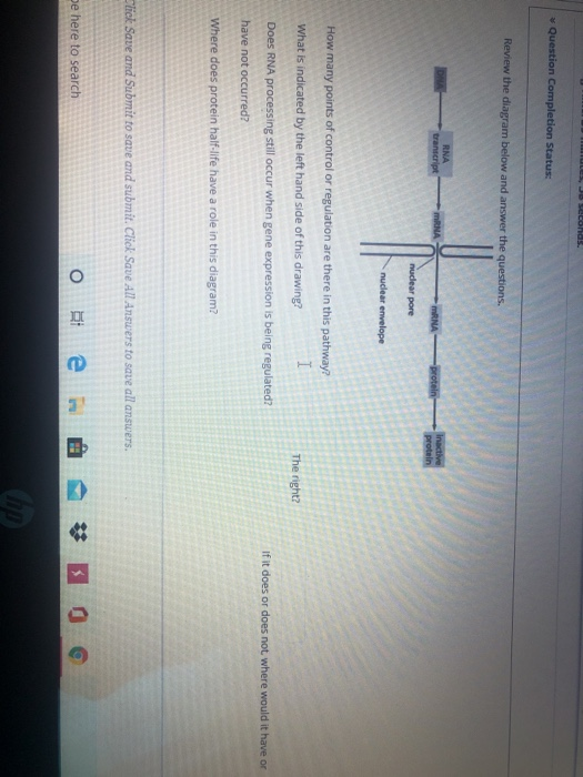 Solved how many points of control or regulation are there in | Chegg.com