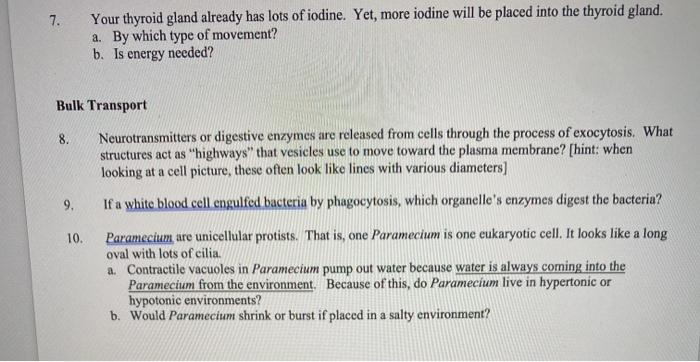 Solved 7 Your Thyroid Gland Already Has Lots Of Iodine Chegg Com