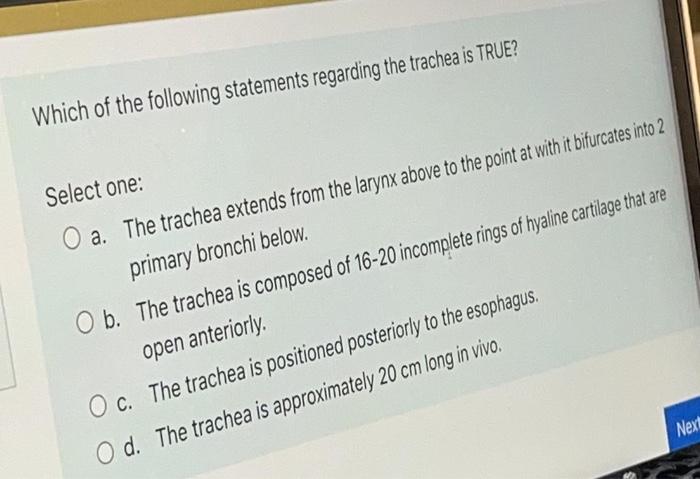 which one of the following statements is false about trachea