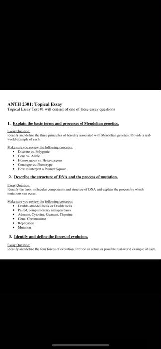 what is a topical essay