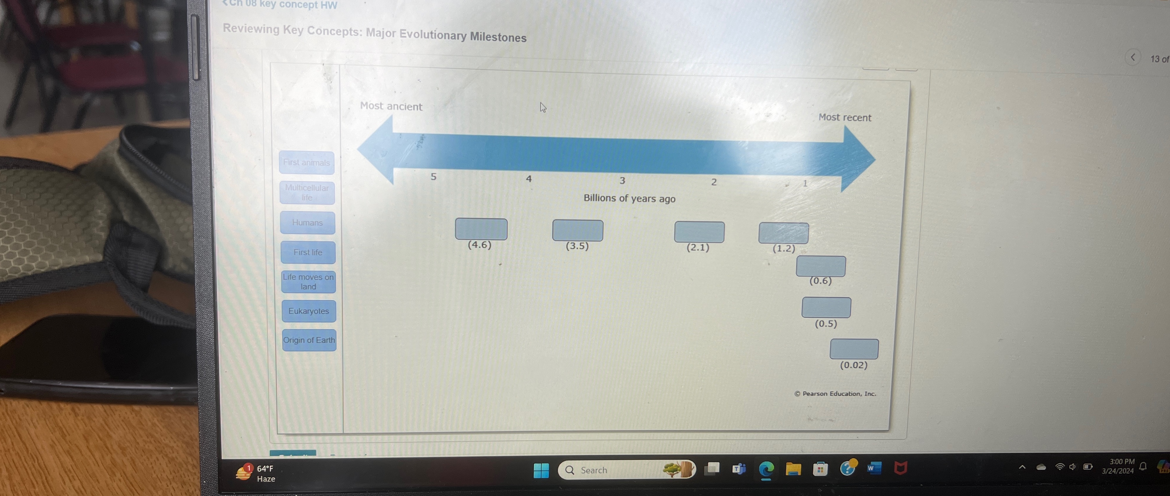 Solved Ch 08 ﻿key Concept HWReviewing Key Concepts: Major | Chegg.com