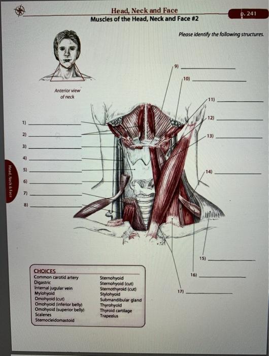 Solved Head, Neck And Face Muscles Of The Head, Neck And | Chegg.com