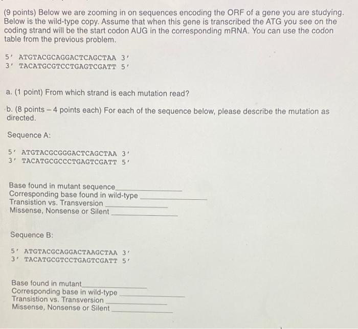 Solved (8 points total) You are given the coding strand of | Chegg.com